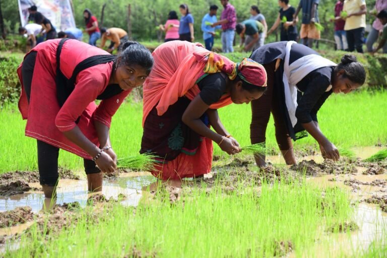 बालको की पहल से कृषि में आया बदलाव, पैदावार में वृद्धि और लागत में कमी…